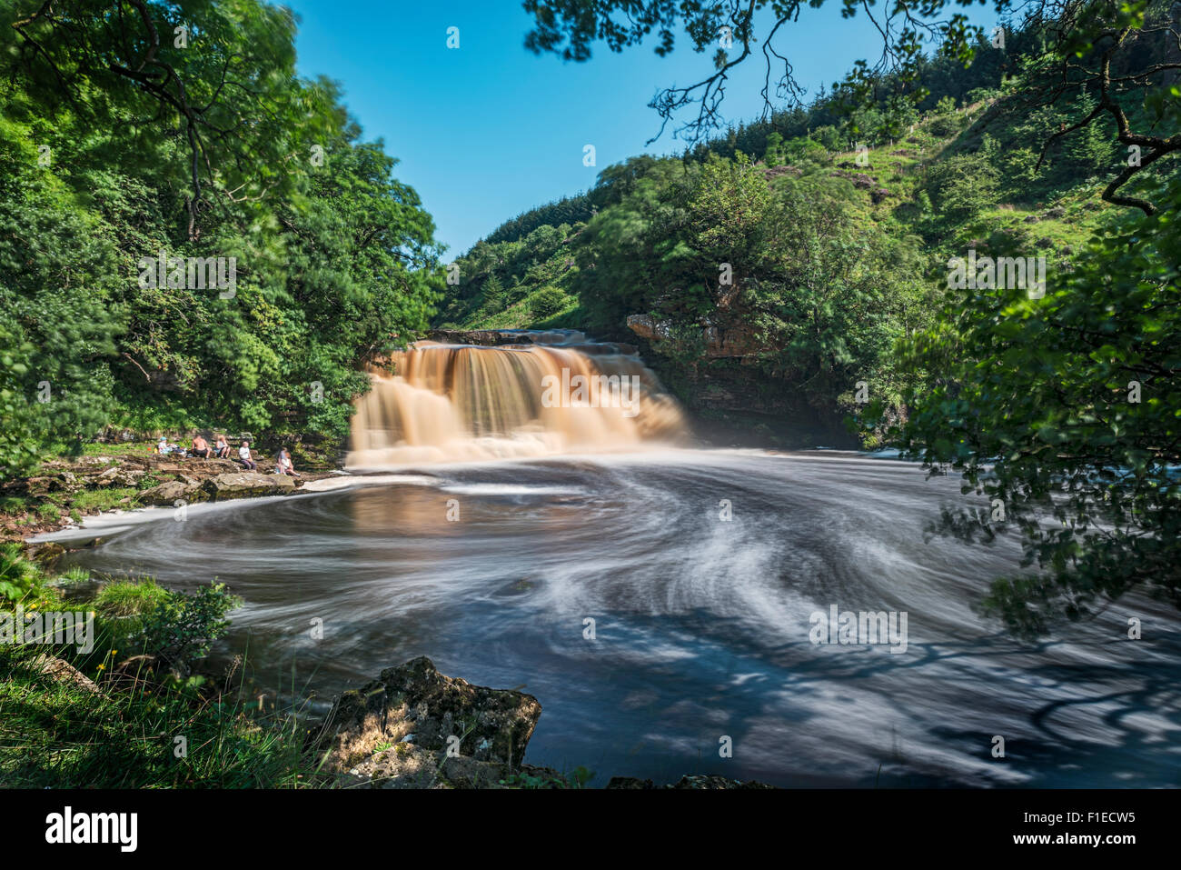 Crammel Linn - Northumberlands größte Wasserfall Stockfoto