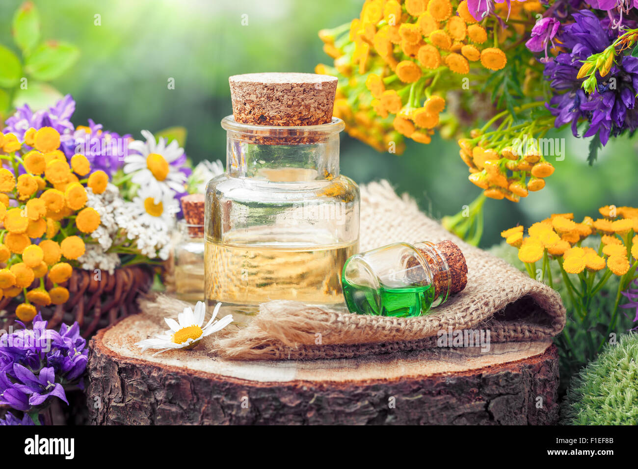 Flaschen von ätherischen Ölen oder trank, heilende Kräuter und Wildblumen. Pflanzliche Arzneimittel. Stockfoto