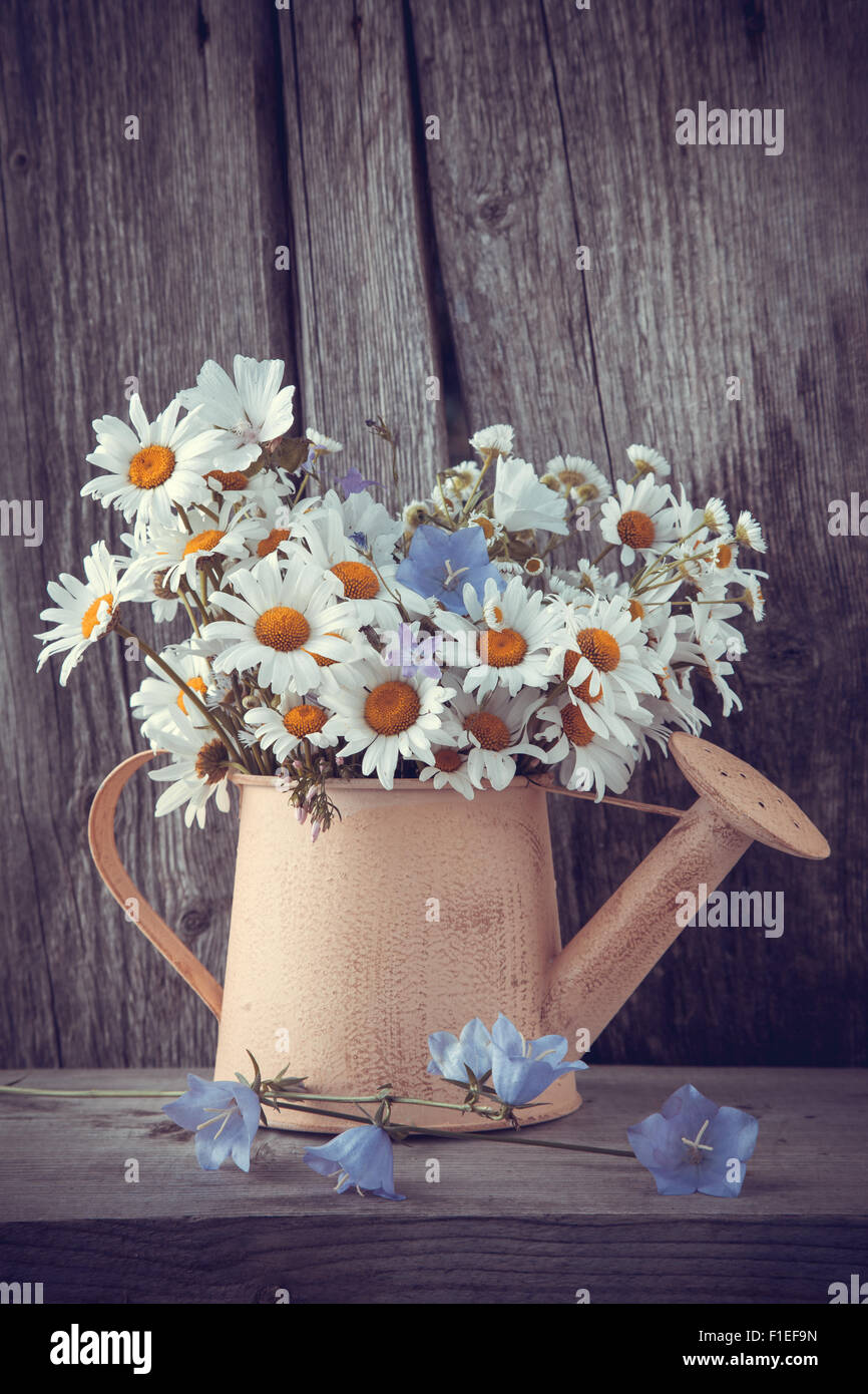 Gießkanne mit Sommer Blumenstrauß Gänseblümchen auf hölzernen Hintergrund. Retro-stilisierte Foto. Stockfoto