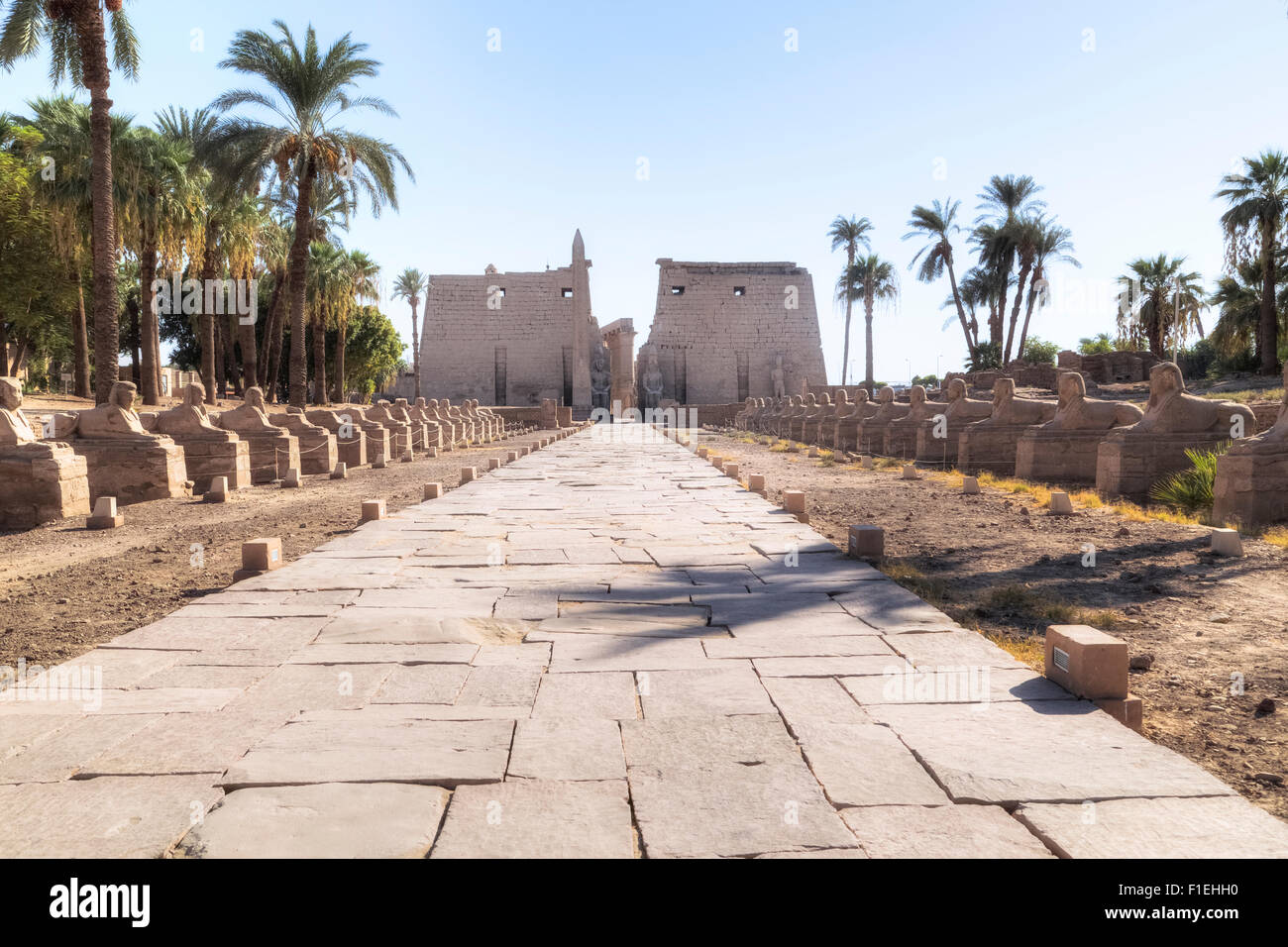 Luxor-Tempel, Theben, Ägypten, Afrika Stockfoto
