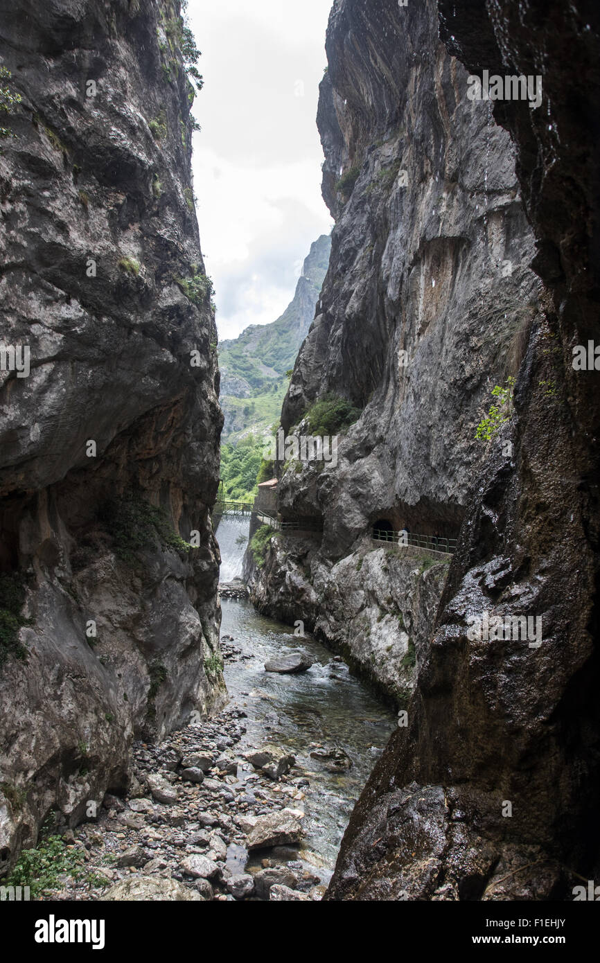 Südlichen Ende der Schlucht bei Caín kümmert sich im Nationalpark Picos de Europa Stockfoto