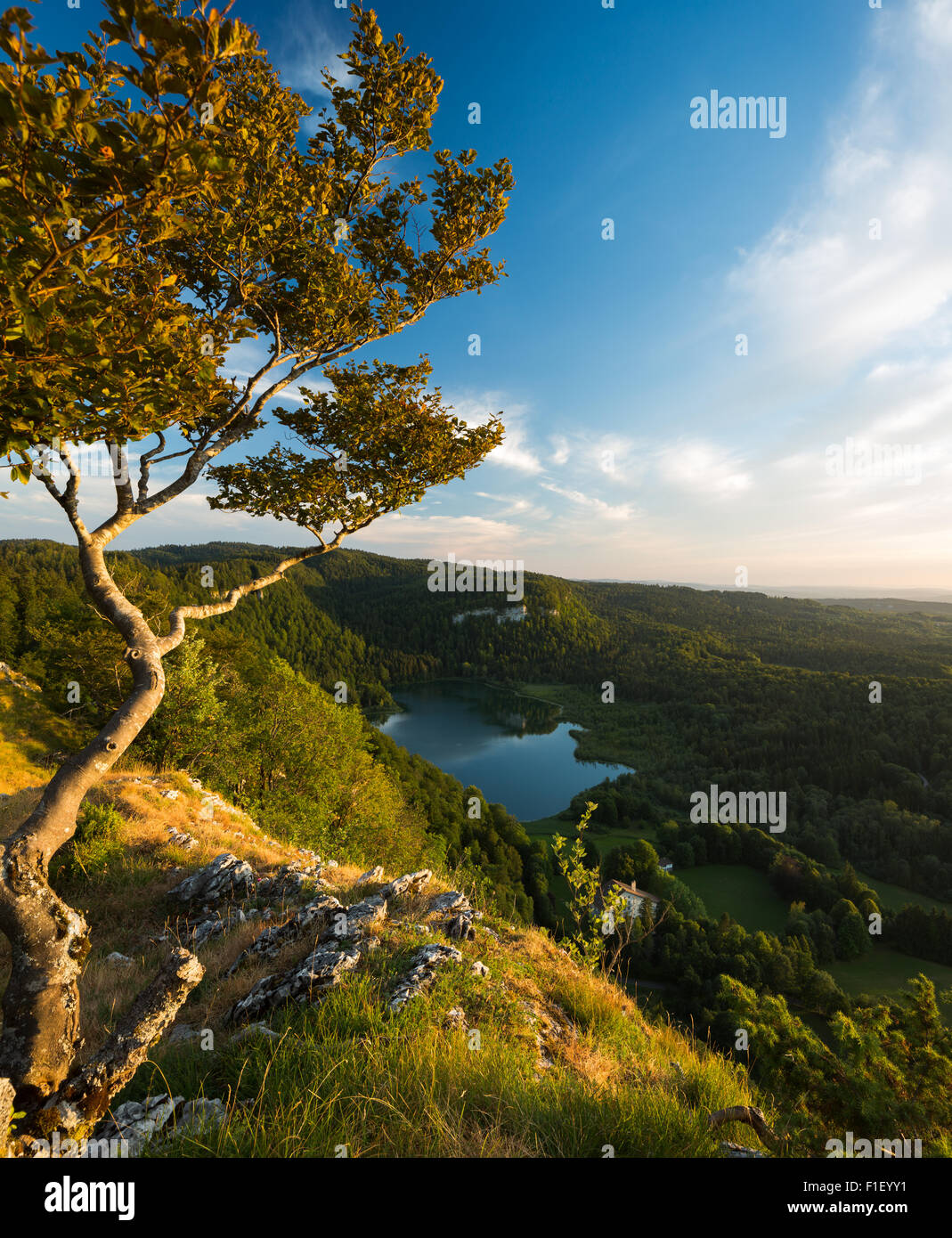 Der See von Bonlieu im Midle des Waldes im Jura, Franche-Comté, Frankreich Stockfoto