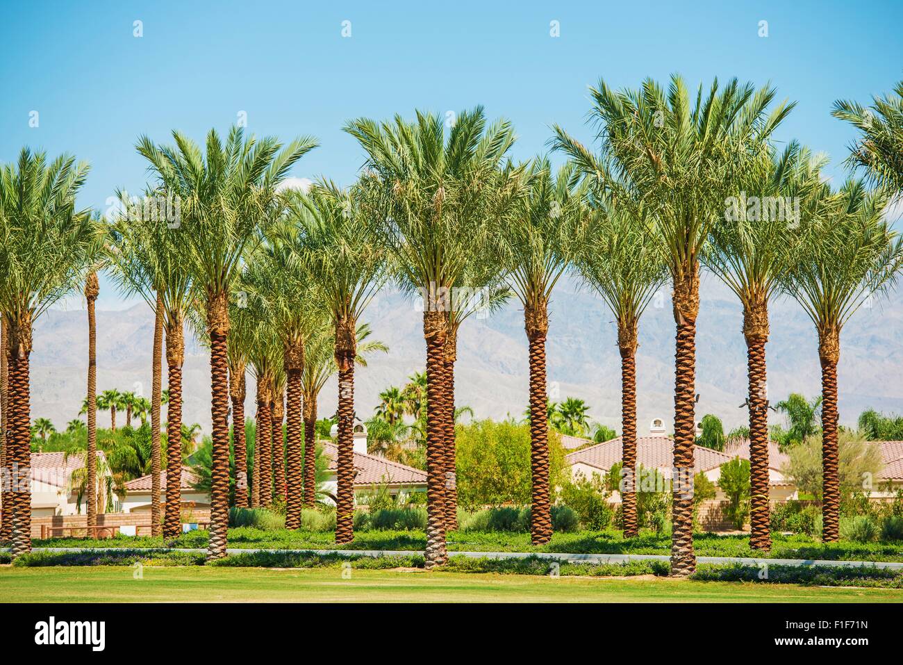 Indian Wells, Kalifornien USA. Wohngebiet und Palmen. Stockfoto