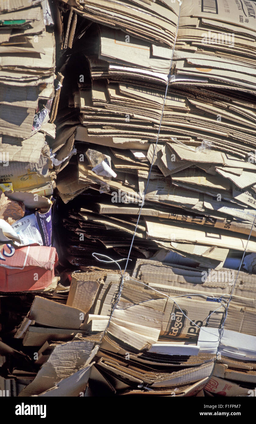 KARTONS EINGESTÜRZTEN UND GEBÜNDELTE BEREIT FÜR RECYCLING, WESTERN AUSTRALIA Stockfoto