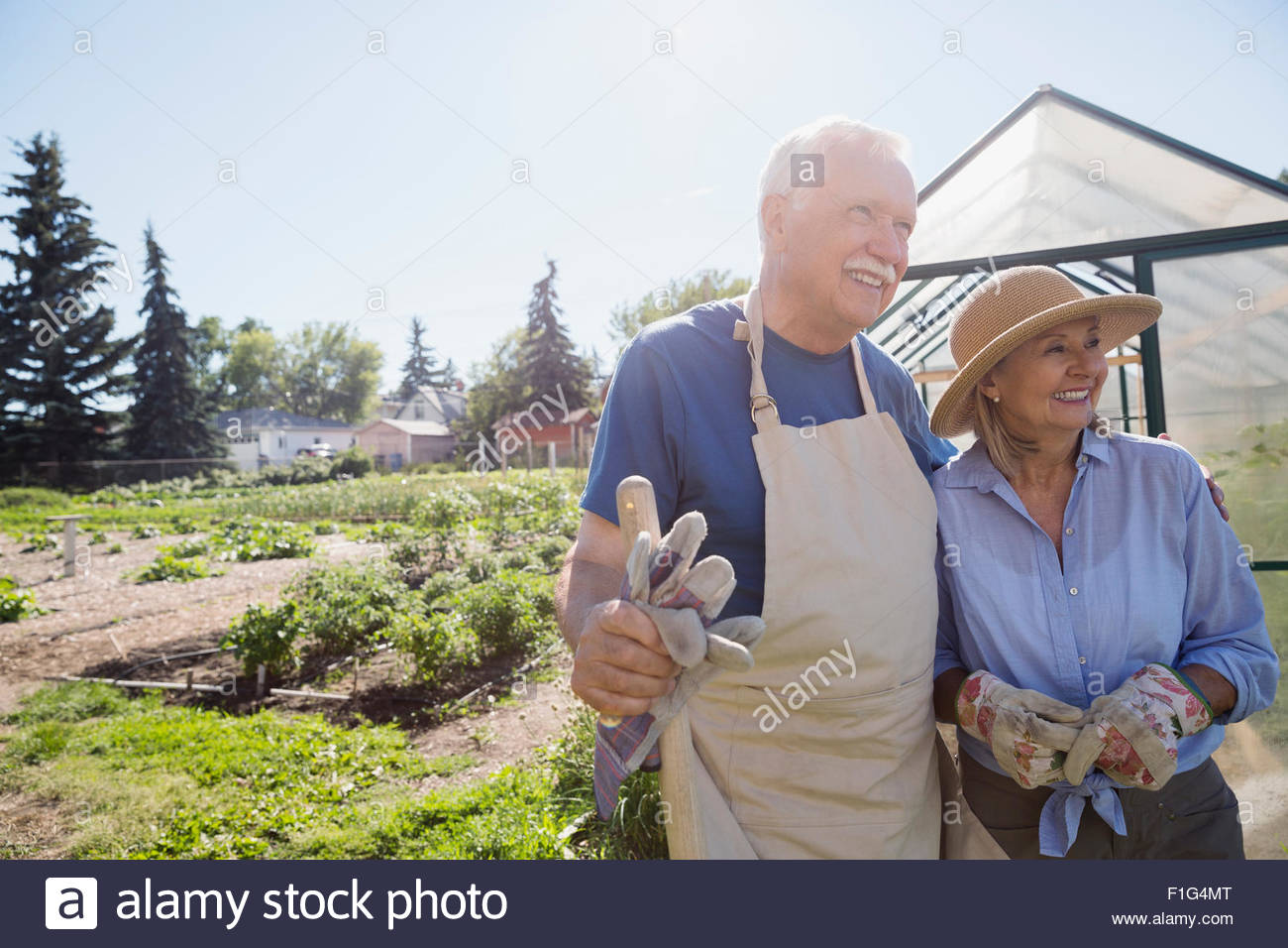 Älteres Paar mit Gartenarbeit Handschuhe Sonnengarten lächelnd Stockfoto