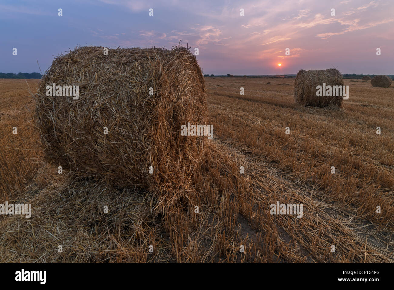 Erstaunliche Ländliches Motiv auf Herbst Feld mit Stroh Rollen und dramatische Abendlicht. Stockfoto