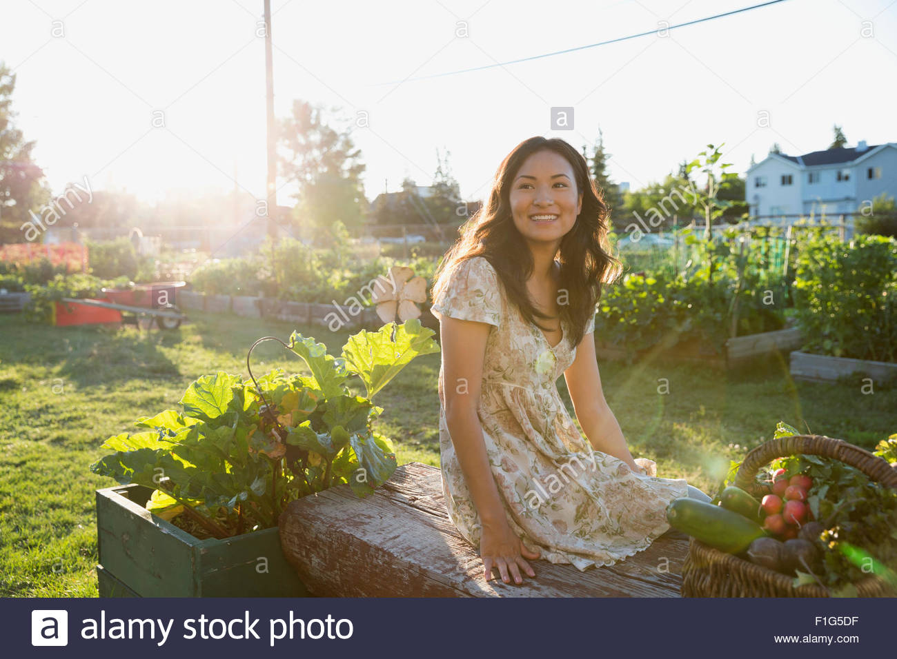 Lächelnd Teenagerin, die Ernte von Gemüse im Garten Stockfoto