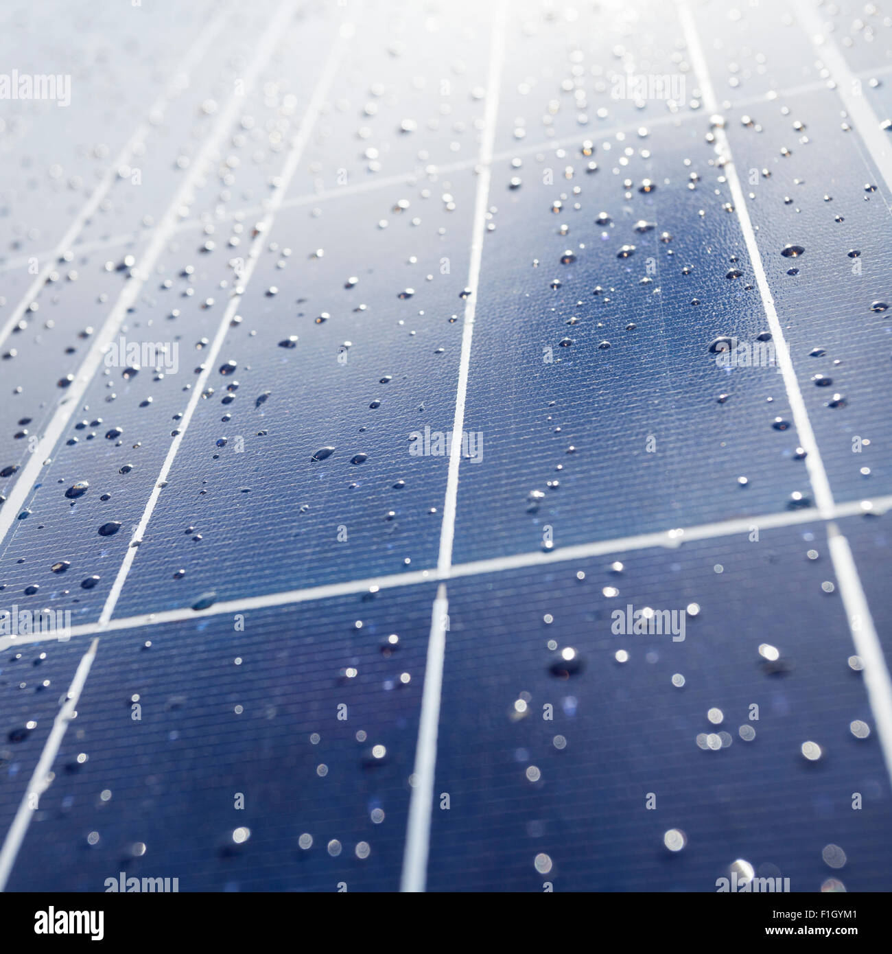 Detail der Solar-Panel-Platten mit Regentropfen. Solar Photovoltaik (PV) in selektiven Fokus Stockfoto