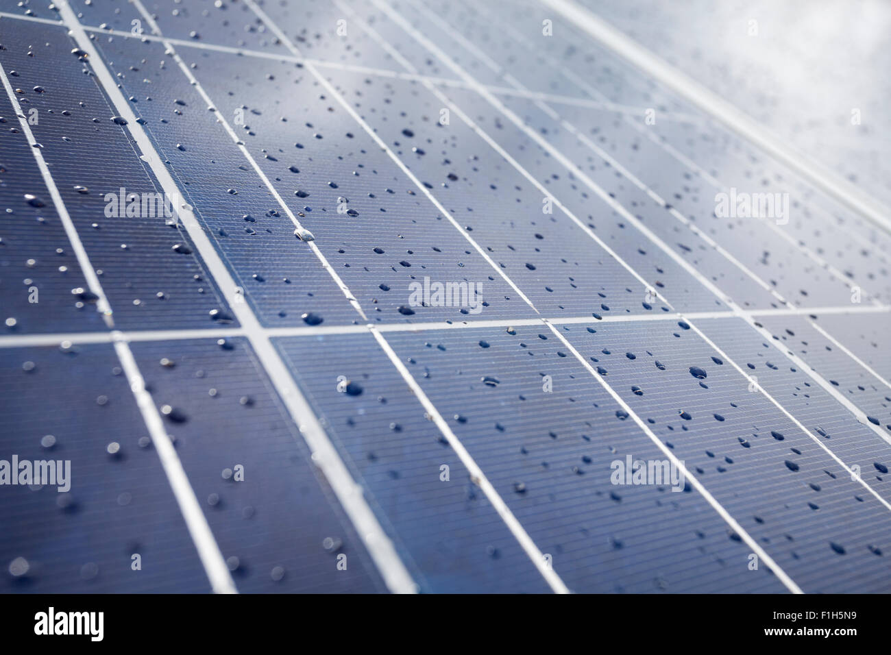 Detail der Solar-Panel-Platten mit Regentropfen. Solar Photovoltaik (PV) in selektiven Fokus Stockfoto