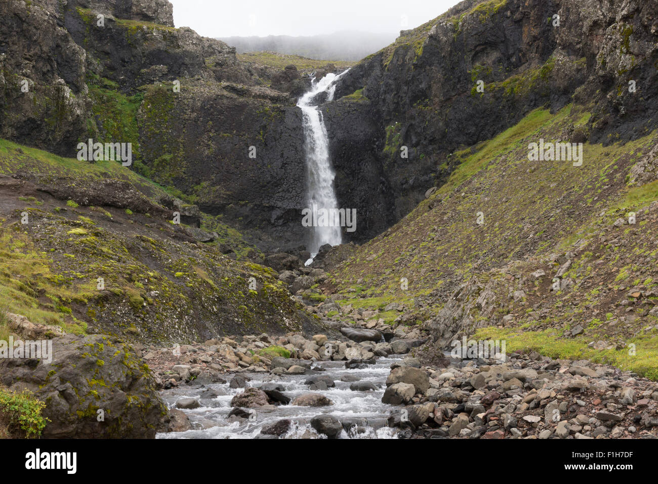 Ein Wasserfall, der aus dem Nebel austritt und in die Lagune Alftafjordur (Álftafjörður), Ostisland, eindringt Stockfoto