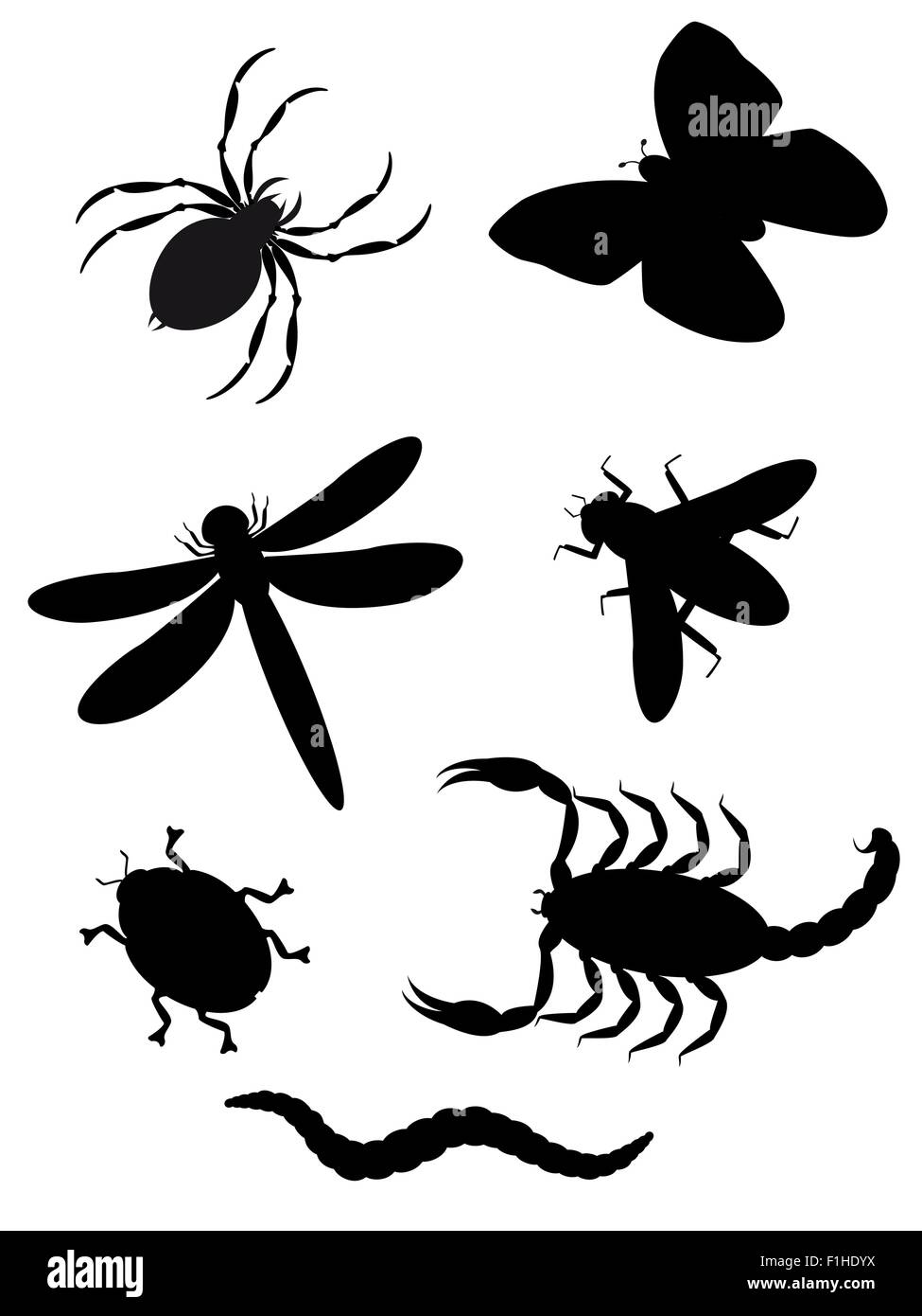 Käfer und Insekten Silhouette Vektor-illustration Stock Vektor