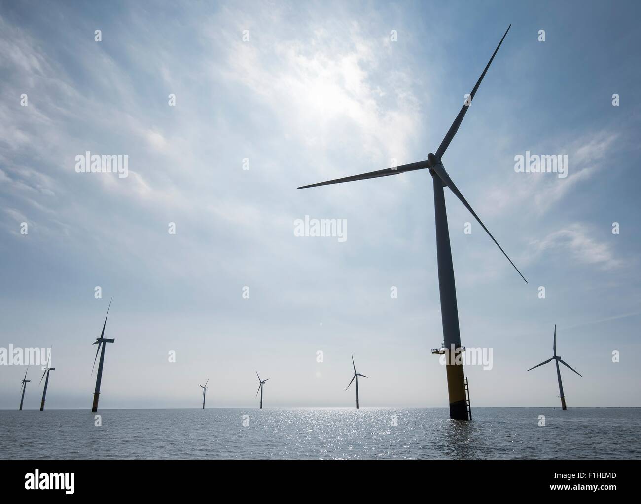 Blick auf Silhouette Offshore-Windpark von Service Boot Stockfoto