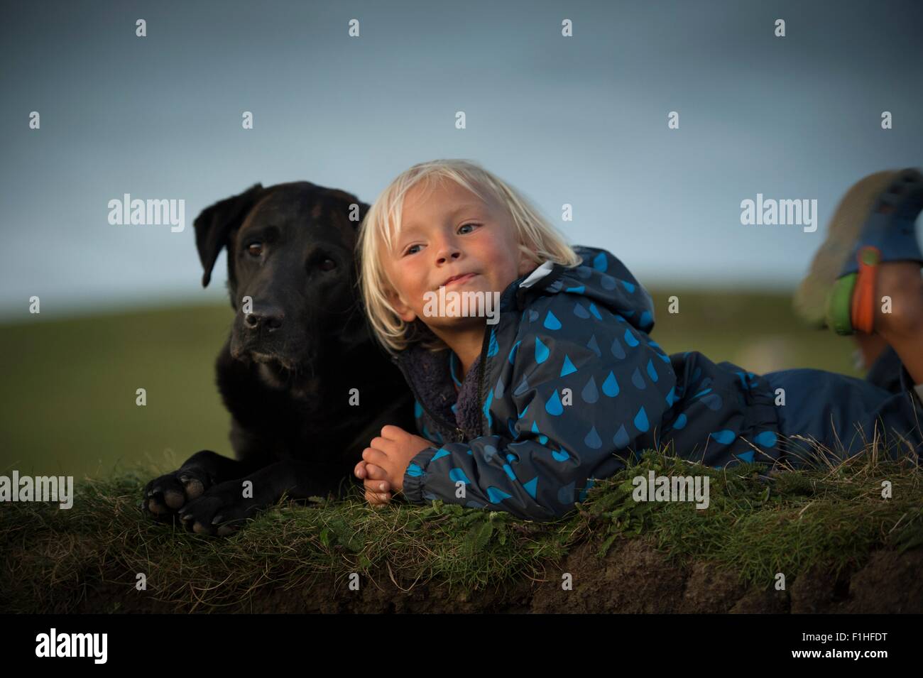 Junge mit Hund im Feld liegend Stockfoto