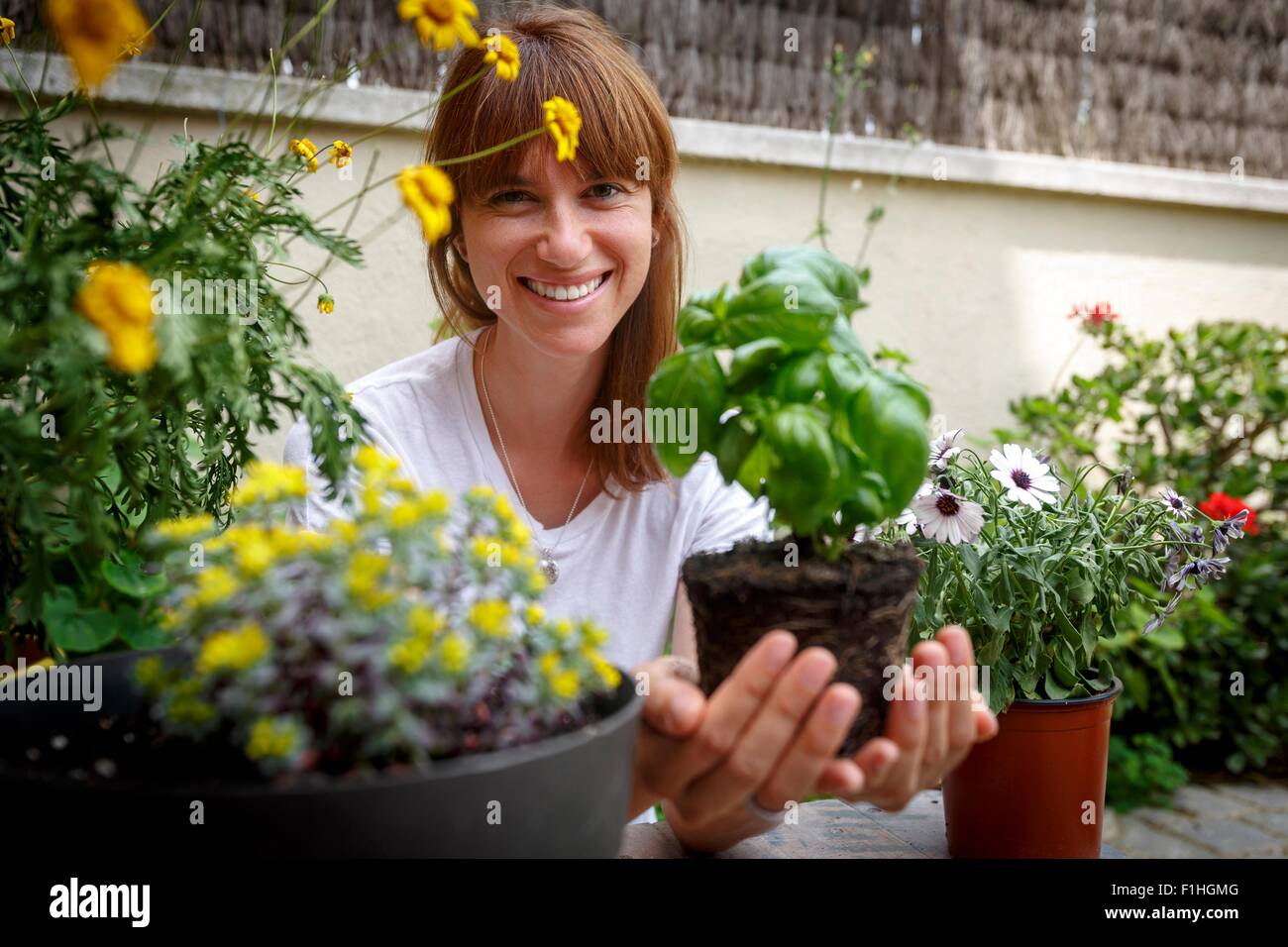 Mitte Erwachsene Frau mit Basilikum Pflanze in hohlen Hand lächelnd in die Kamera Stockfoto