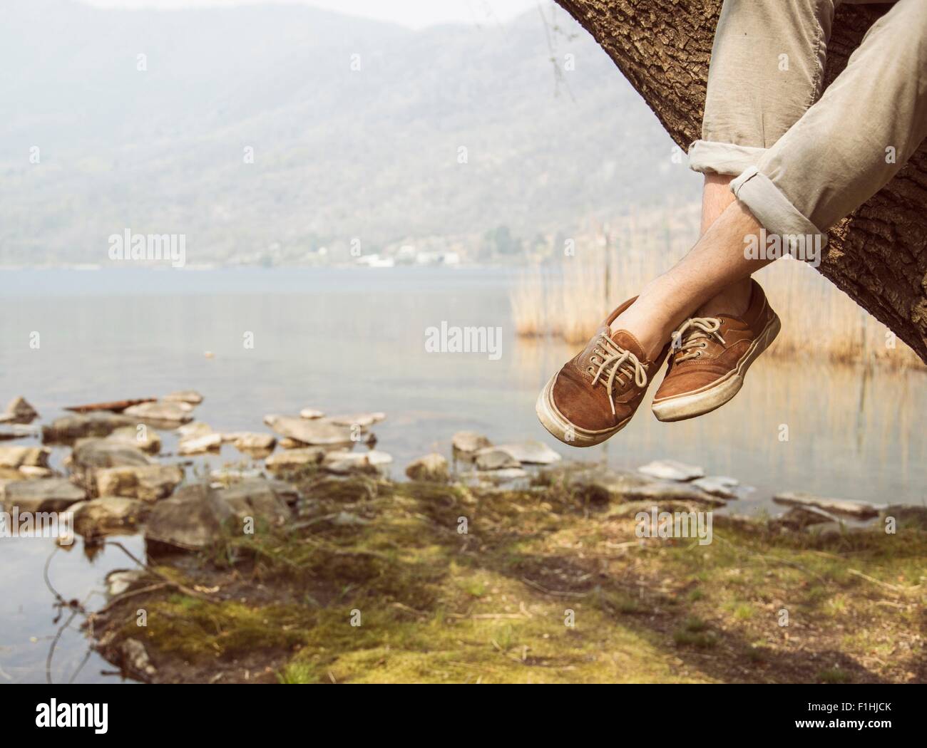 Mans Füße baumelten von Baum am Seeufer, Mergozzo See, Verbania, Piemont, Italien Stockfoto