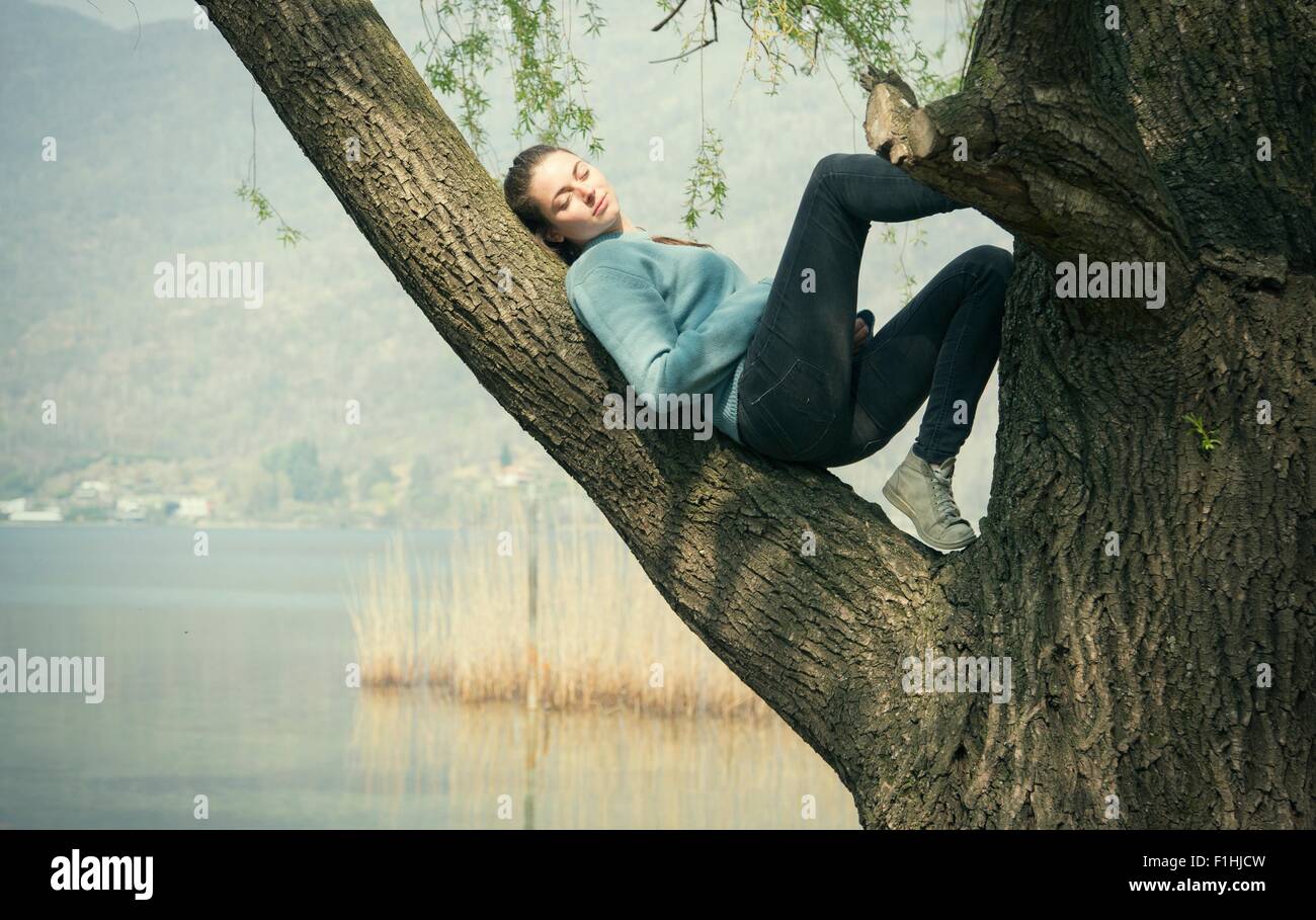 Junge Frau im Baum am Seeufer, Mergozzo See, Verbania, Piemont, Italien Stockfoto