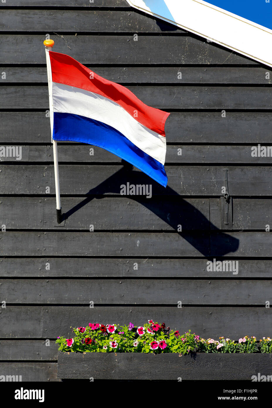 Niederländischen Nationalflagge mit Blüten hängen, dunkles Holz Stockfoto