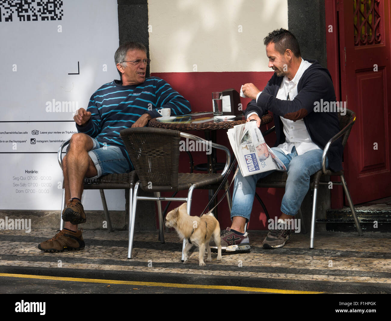 Mann und Hund in einer Bar, Kaffee, Funchal, Madeira, Portugal Stockfoto