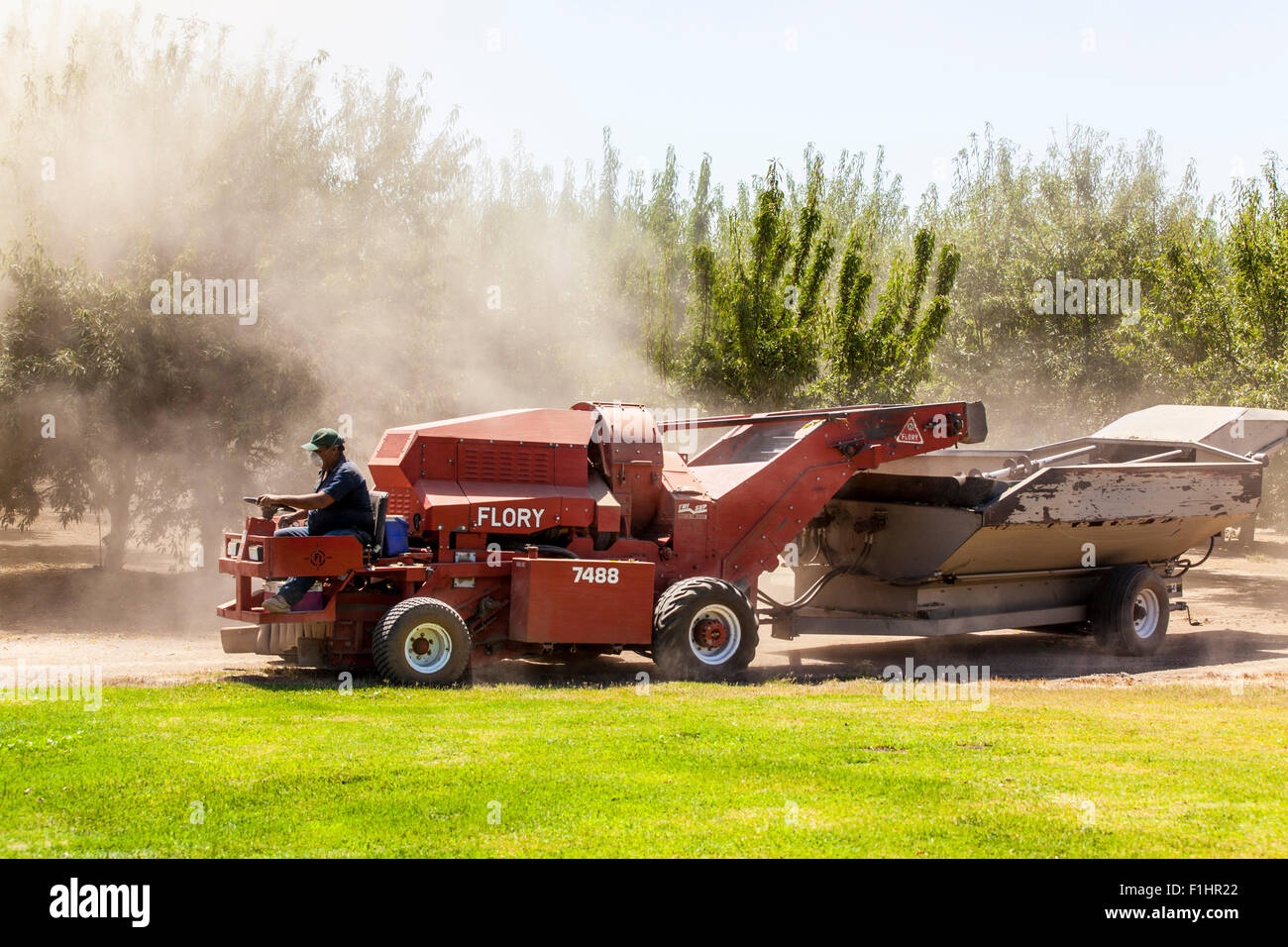 Eine Mandel Ernte Maschine im kalifornischen Central Valley 2015 Stockfoto