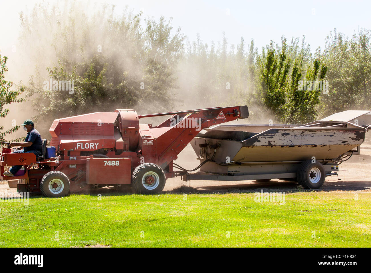 Eine Mandel Ernte Maschine im kalifornischen Central Valley 2015 Stockfoto