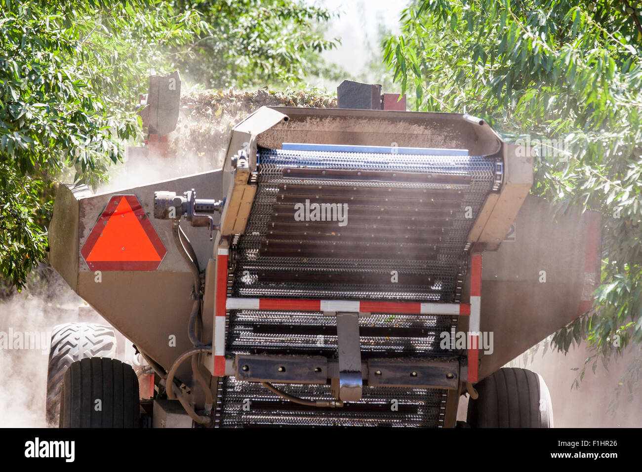 Eine Mandel Ernte Maschine im kalifornischen Central Valley 2015 Stockfoto