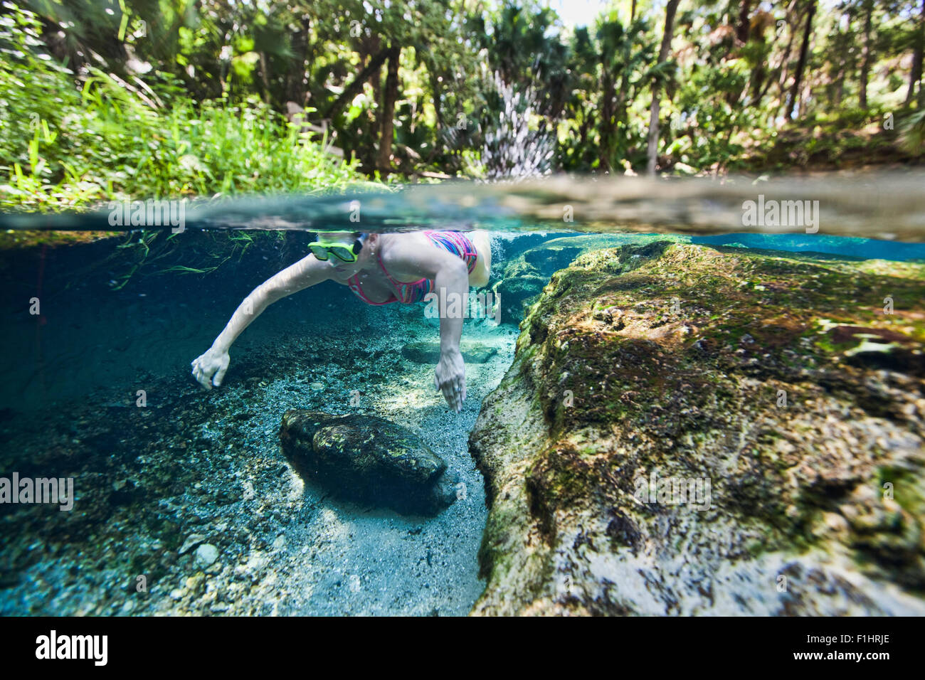 Unterwasser Foto zeigt einen weiblichen Schwimmer schwimmen durch Rock Springs laufen in Kelly Park in Zentral-Florida Stockfoto