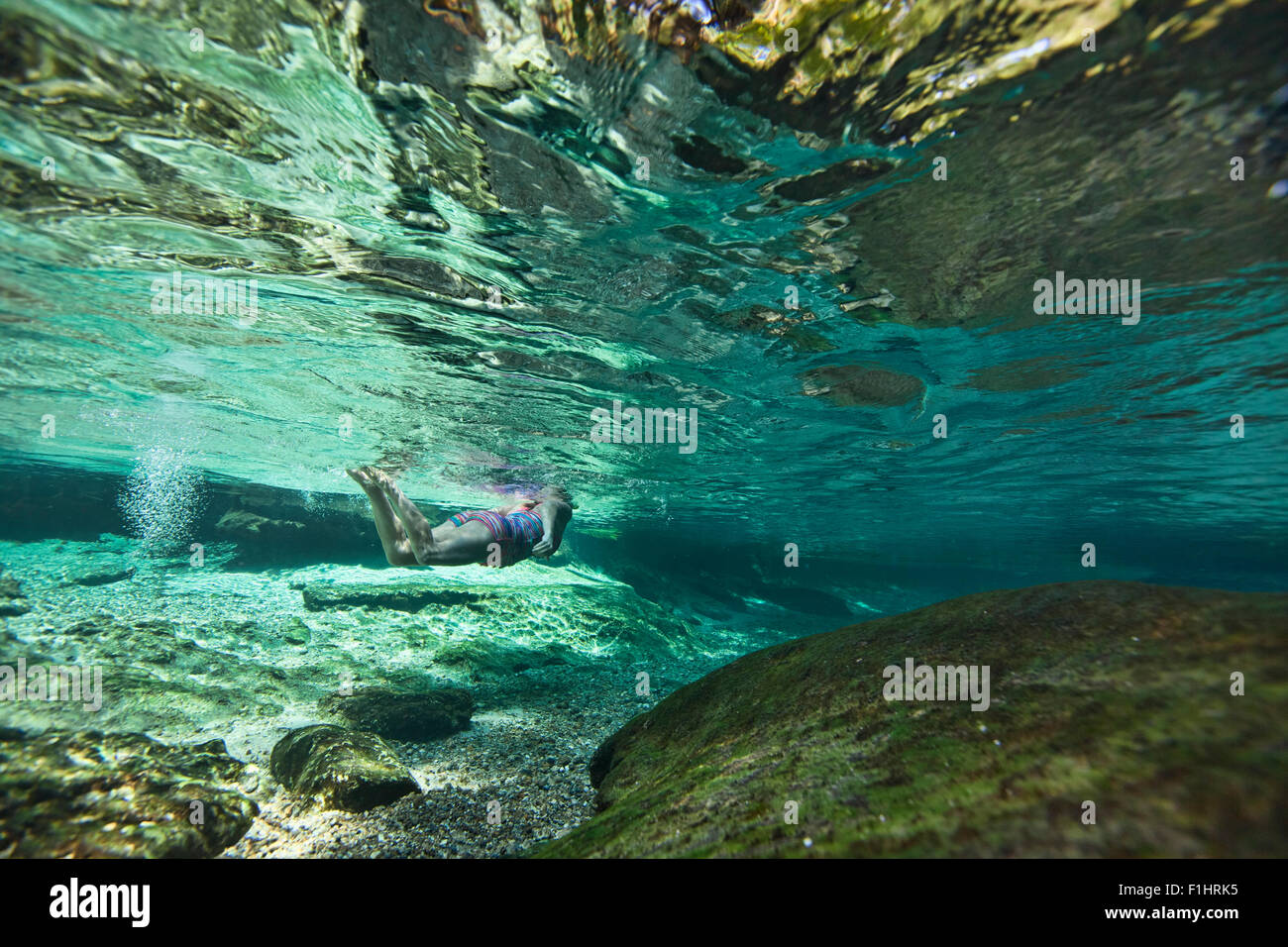 Unterwasser Foto zeigt einen weiblichen Schwimmer schwimmen durch Rock Springs laufen in Kelly Park in Zentral-Florida Stockfoto