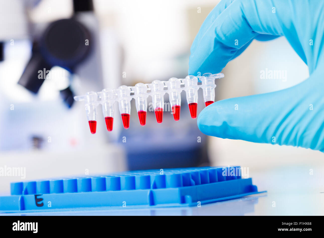 PCR-Streifen Reagenzgläsern und Mikropipette in Genetik Labor Stockfoto