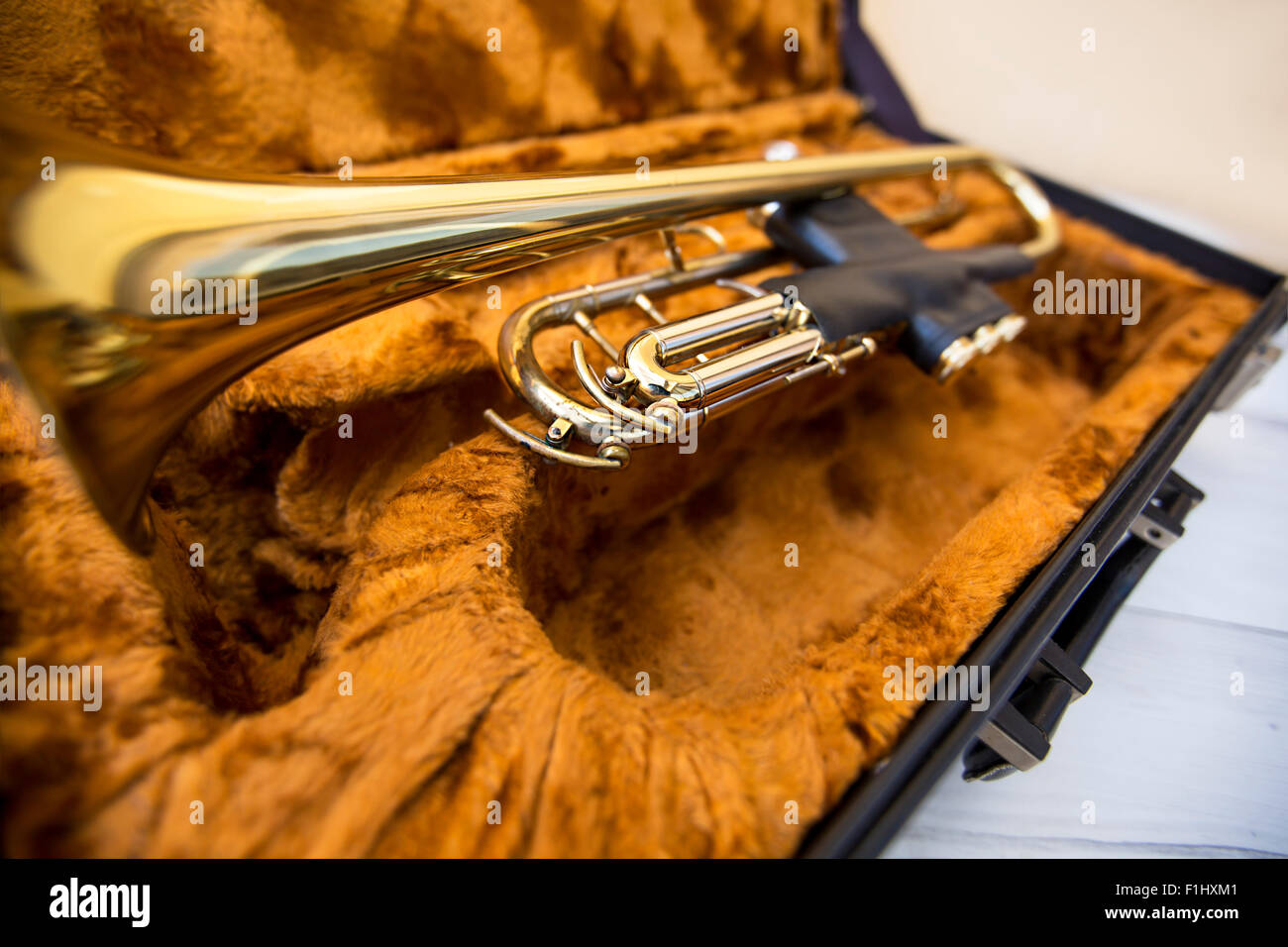 Goldene Trompete im Fall Stockfoto