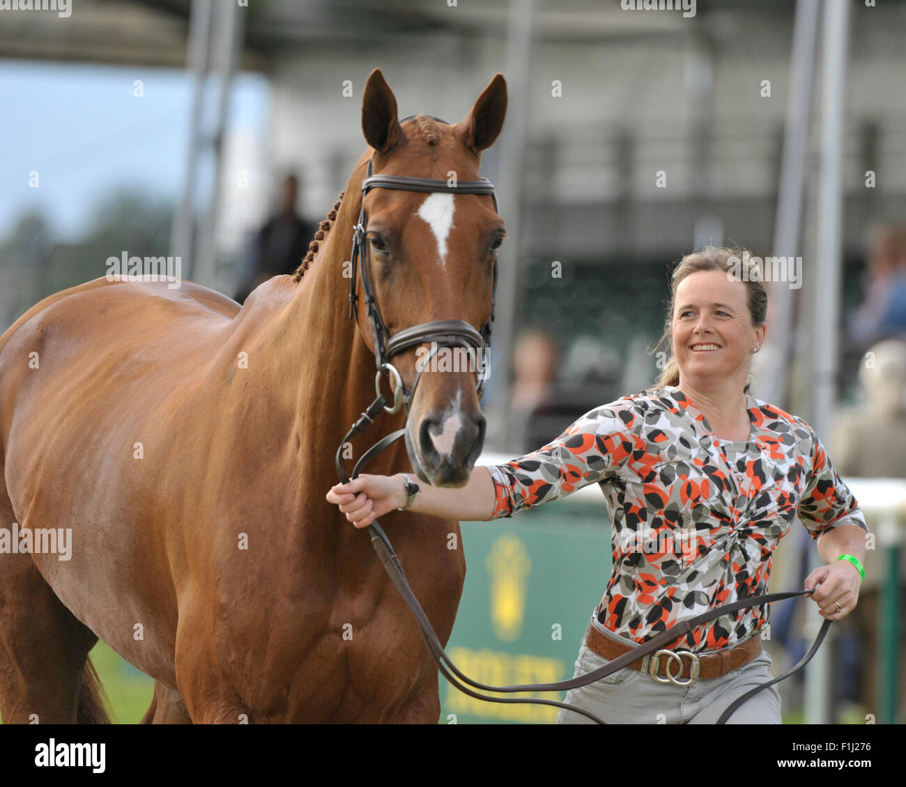Stamford, Lincs, UK. 2. September 2015. Der Land Rover Burghley Horse Trials 2015 Credit: Stephen Bartholomäus/Alamy Live-Nachrichten Stockfoto