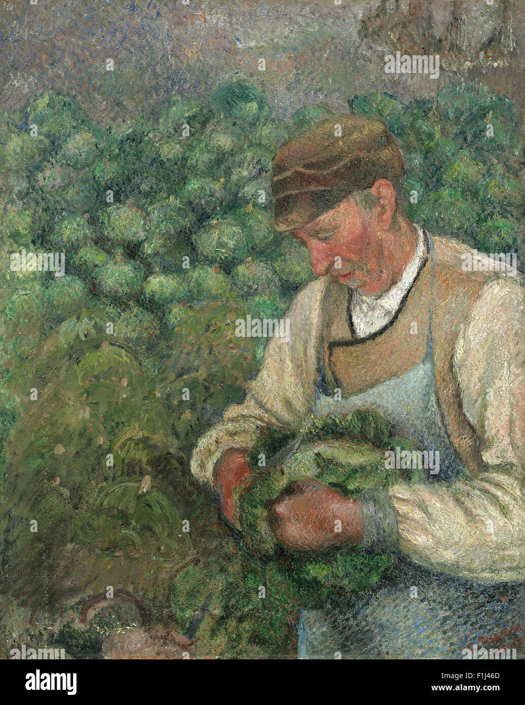 Camille Pissarro - der Gärtner alten Bauer mit Kohl Stockfoto