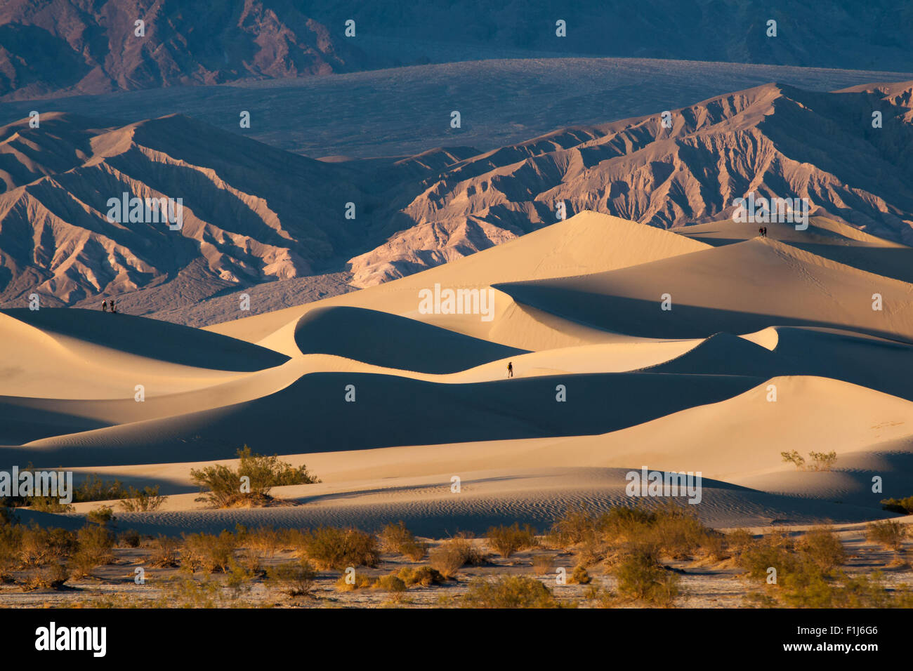 Sonnenuntergang-Sanddünen im Death Valley Nationalpark in Kalifornien. Stockfoto