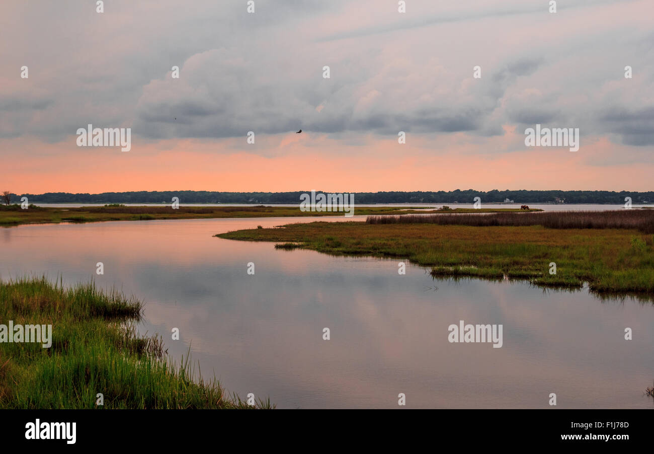 Assateague Island, Berlin, Maryland USA Stockfoto