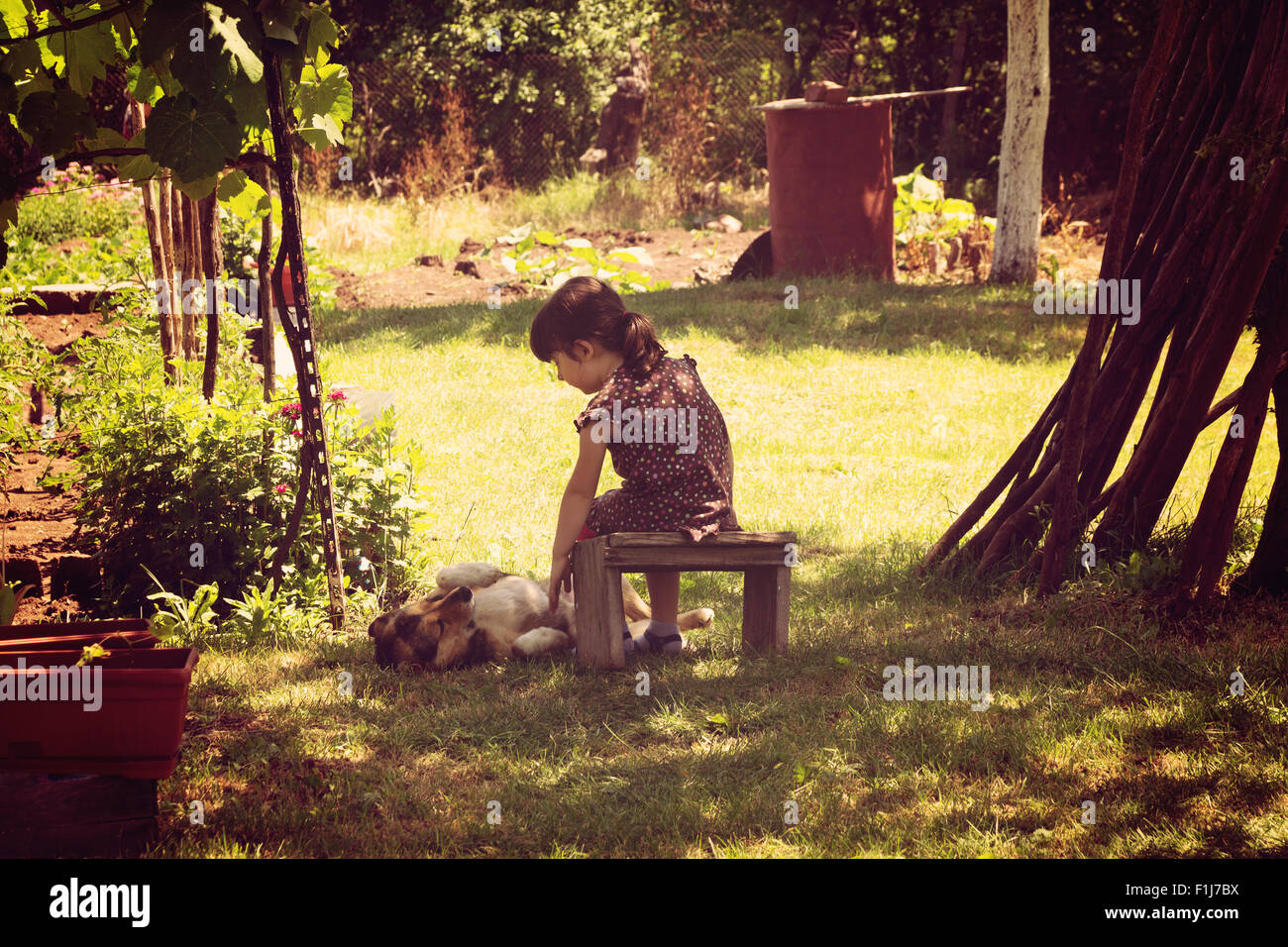 Ein Kinderspiel mit seinem Hund auf dem Hof des Dorfes Stockfoto