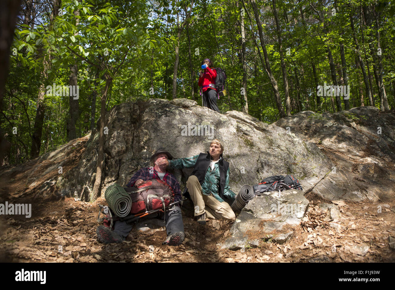 Ein Spaziergang im Wald ist eine 2015 American Adventure Biopic Komödie unter der Regie von Ken Kwapis, basierend auf der 1998 Buch/Memoiren mit dem gleichen Namen von Bill Bryson. Die Filmstars Robert Redford, Nick Nolte, Kristen Schaal, Nick Offerman, Mary Steenburgen und Emma Thompson.  Dieses Foto ist nur zu redaktionellen Zwecken und unterliegen dem Copyright von der Filmgesellschaft und/oder der Fotograf von dem Film oder der Firma zugeordnet und kann nur durch Veröffentlichungen im Zusammenhang mit der Förderung der oben genannten Film reproduziert werden. Eine obligatorische Gutschrift auf die Filmgesellschaft ist erforderlich. Der Fotograf sollte auch cred Stockfoto