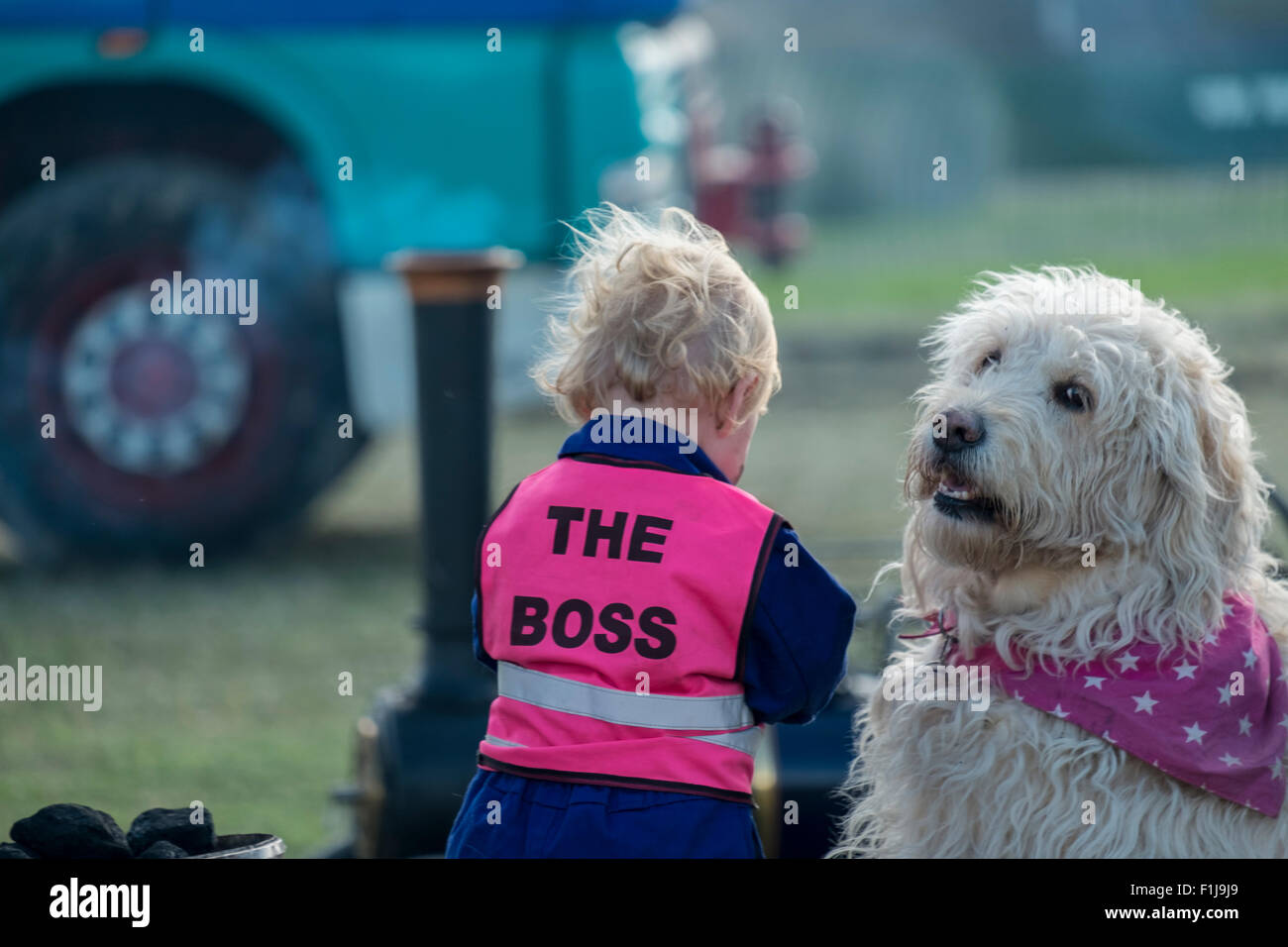 Tarrant Hinton, Blandford Forum, UK. 2. September 2015. Die Messe von der Messe auf der großen Dorset Steam Fair Kredit: Paul Chambers/Alamy Live News Stockfoto