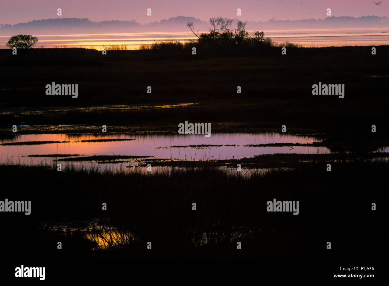 Sonnenuntergang am Assateague, im Nebel des wärmeren Wetters über Schnee Stockfoto