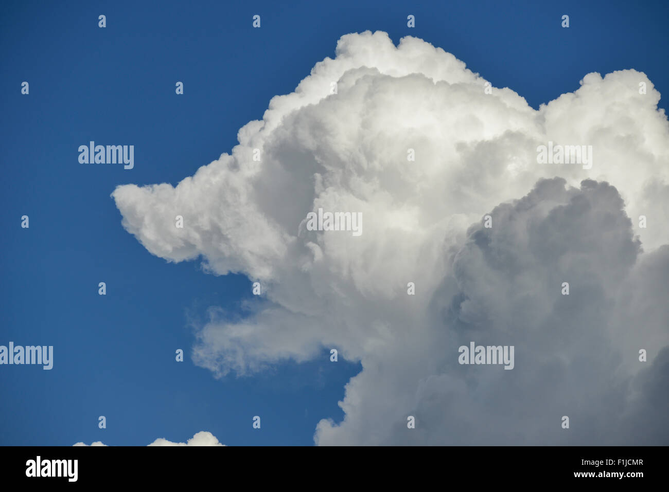 Hund-förmigen Wolke gegen blauen Himmel in der Nähe von Heathrow Airport, Greater London, England, Vereinigtes Königreich Stockfoto