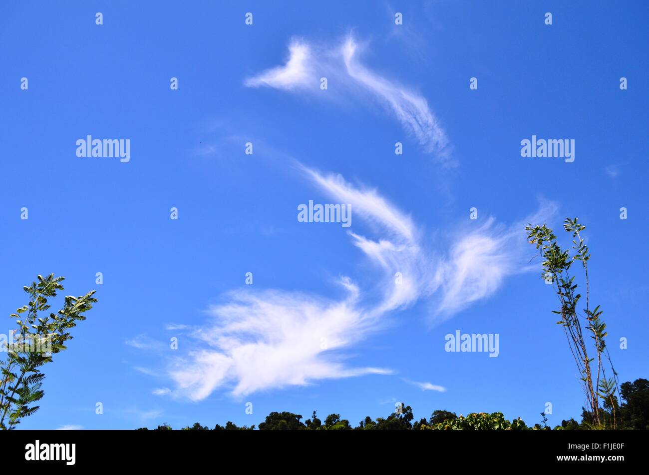 Hai-Himmelblau Stockfoto