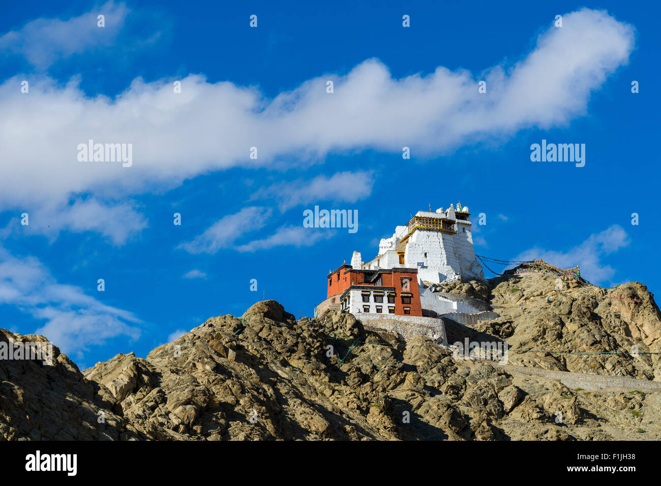 Das Kloster Namgyal Tsemos Gompa und Tsemos Fort auf einem Bergrücken, Leh, Jammu und Kaschmir, Indien Stockfoto