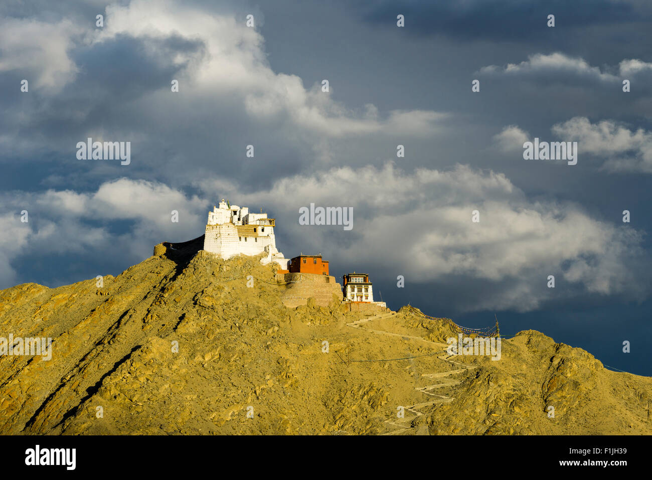 Das Kloster Namgyal Tsemos Gompa und Tsemos Fort auf einem Bergrücken, Leh, Jammu und Kaschmir, Indien Stockfoto