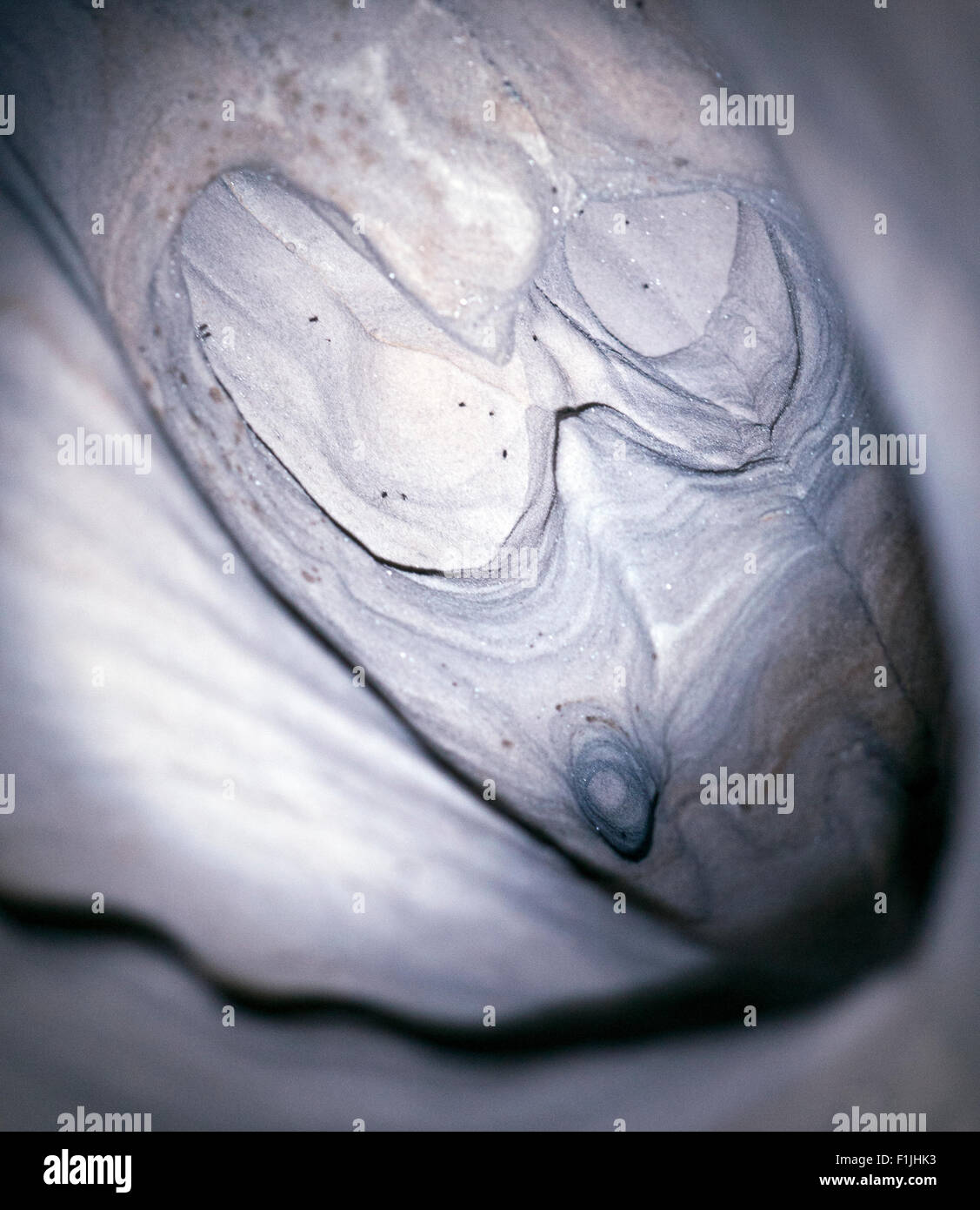 Sandstein-Formationen in Höhle Stockfoto