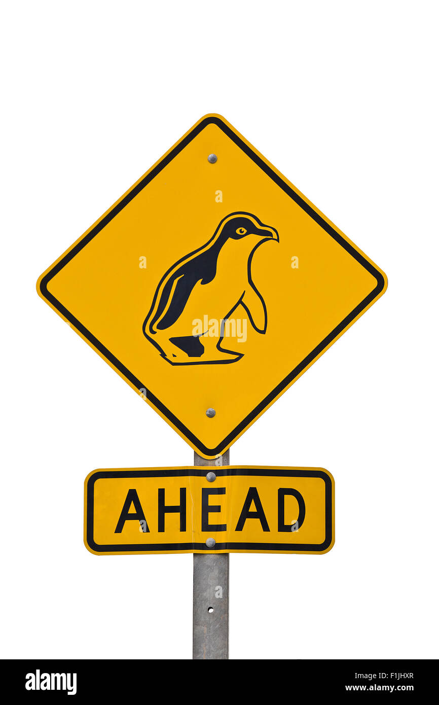 Pinguin vor Zeichen Stockfoto