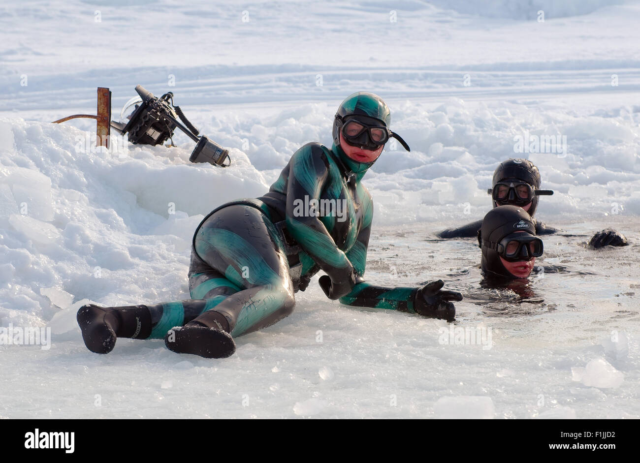 Weißes Meer, Arktis, Russland. 15. Oktober 2014. Freitauchen unter Eis in der Arktis, Russland, Russische Norden, Norden, Karelien, weißen Meer © Andrey Nekrassow/ZUMA Wire/ZUMAPRESS.com/Alamy Live-Nachrichten Stockfoto