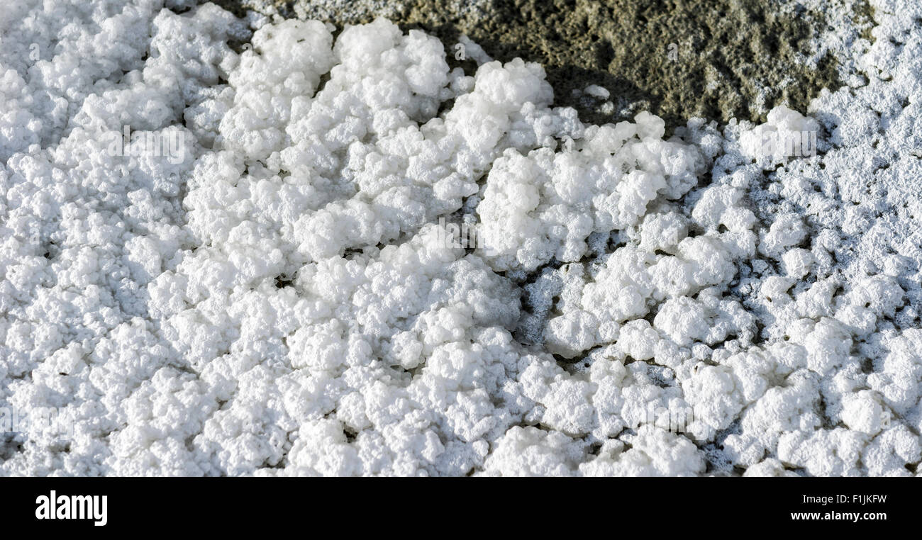 Salzkristalle in verschiedenen Formen finden sich bei Tso Kar, eine schwankende Salzsee, 4.530 m, Changtang Bereich, Thukje Stockfoto