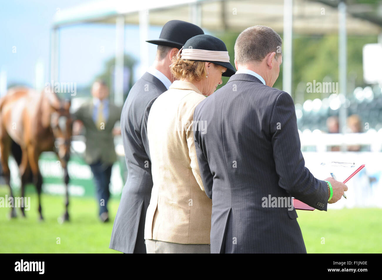 Stamford, UK. 2. September 2015. Land Rover Burghley Horse Trials 2015, Stamford England. Erste Inspektion. Richter-Credit: Julie Badrick/Alamy Live-Nachrichten Stockfoto