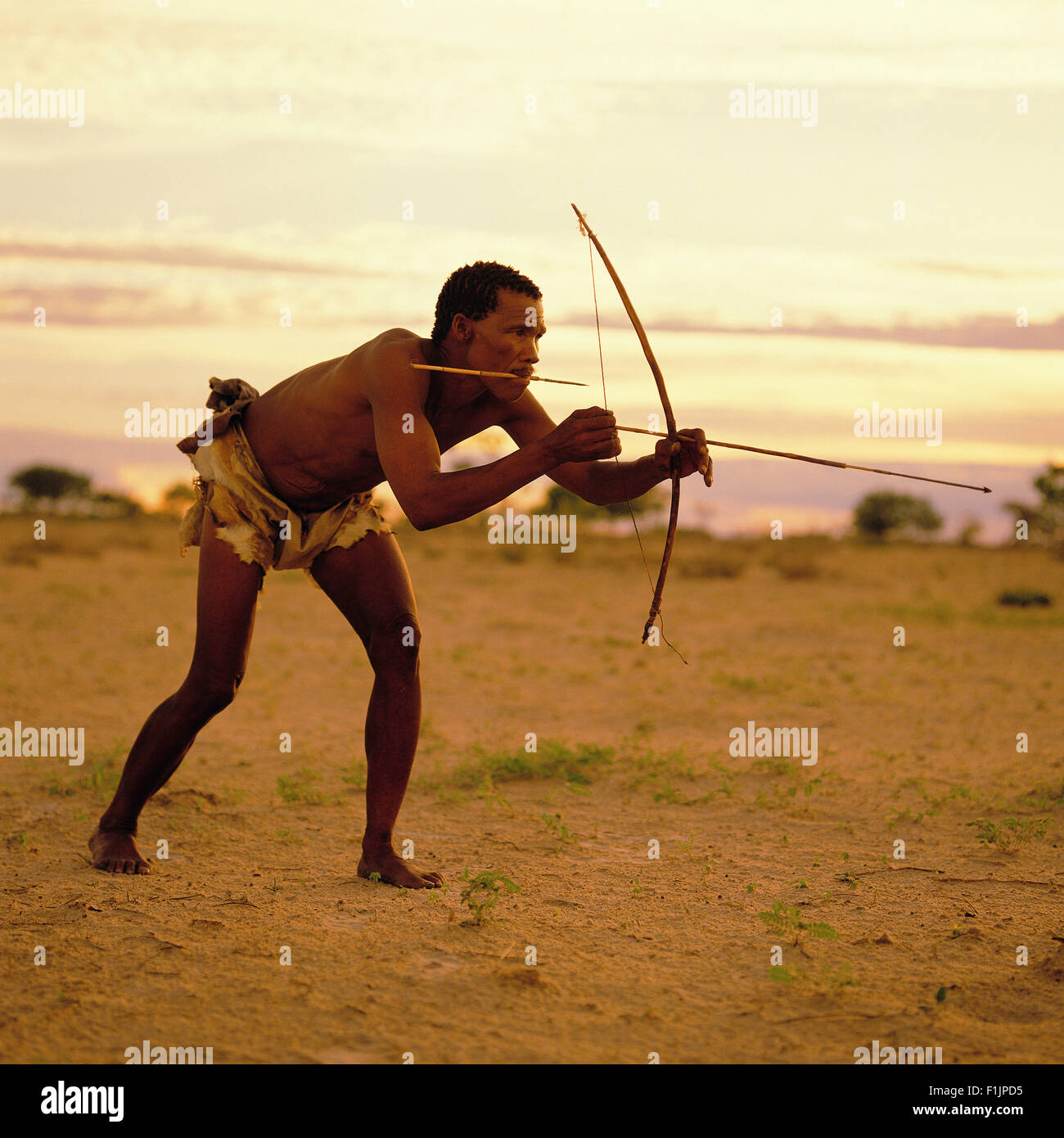 Bushman Jagd, Botswana, Afrika Stockfoto