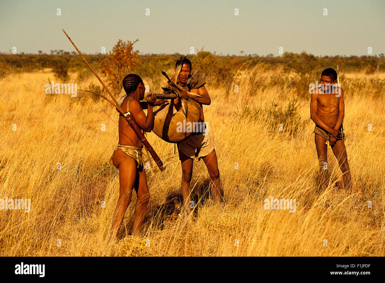 Buschmänner tragen ihre Kill Botswana, Afrika Stockfoto