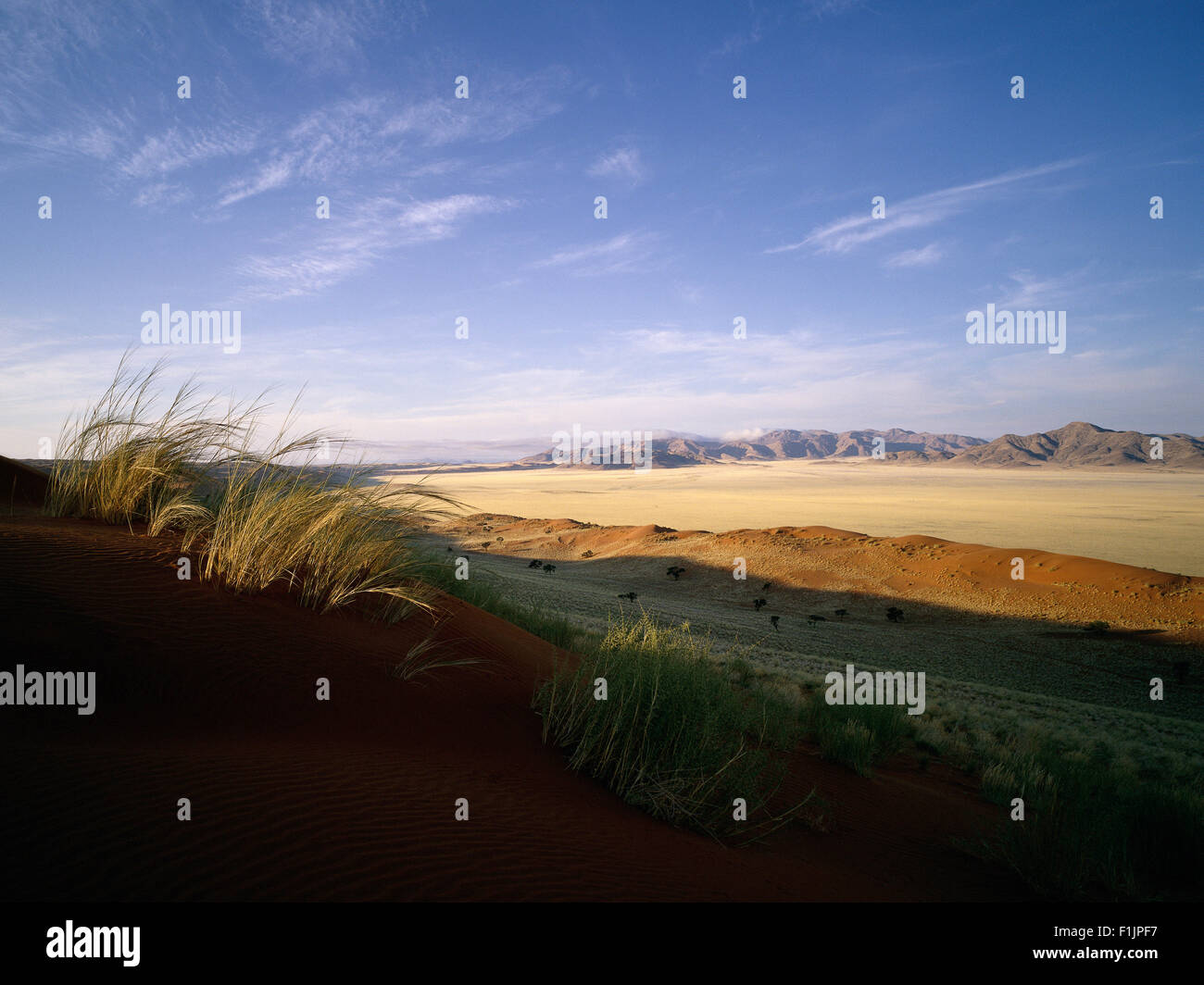 Grass Büschel Sand Dune Naukluft Park, Namibia, Afrika Stockfoto