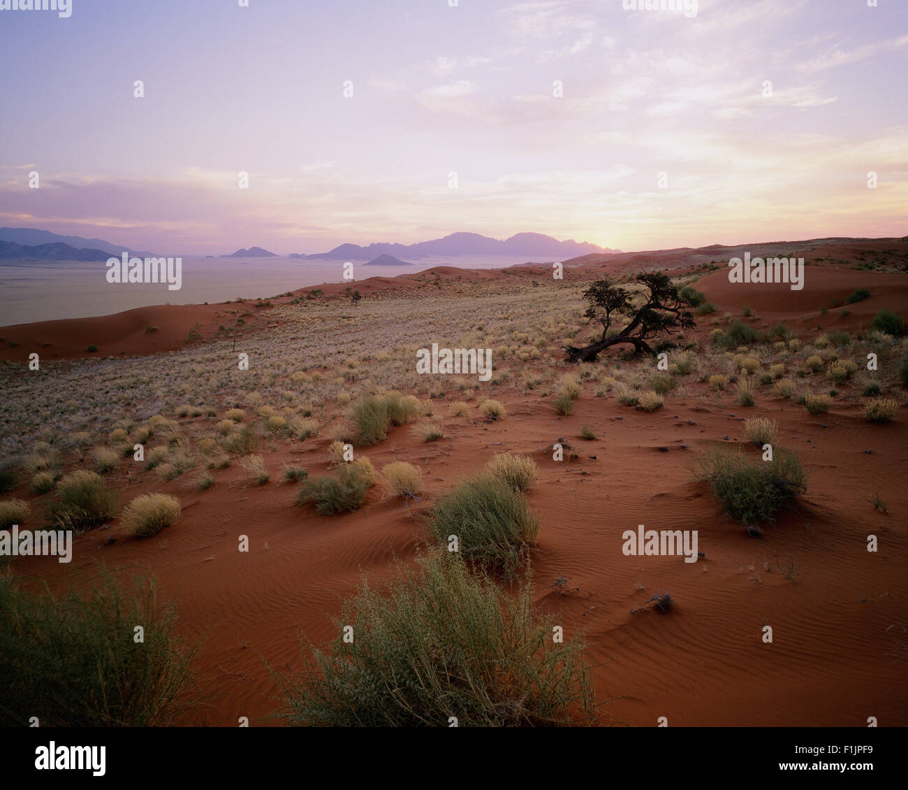 Übersicht-Landschaft bei Sonnenuntergang Naukluft Park, Namibia, Afrika Stockfoto